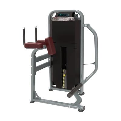 China Universal DFT Fitness Gym Fitness Strength Equipment For Gym DFT-1625 Glute Exercise Machine for sale