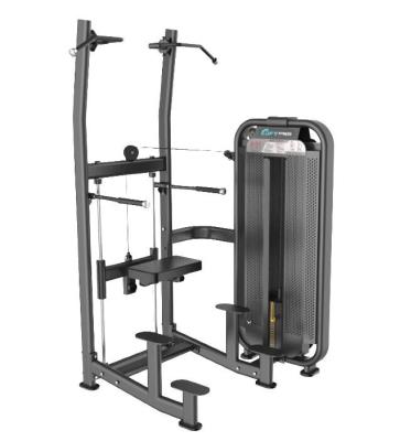 China DFT Universal Gymnasium Equipment Gym Machine DFT-2009 Weigh Chin And Dip Assisted for sale