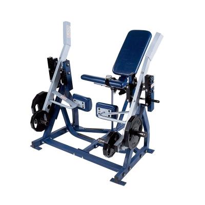 China 2021 Hammer DFT-T022 Strength Style Leg Extender Leg Trainer Commercial Lateral Training Machine Blue Commercial Gym Equipment for sale