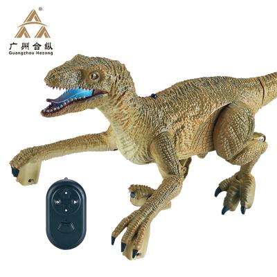 China Amazon Hot Sale Dinosaur Toy RC Remote Control Educational Toy For Kids Educational Toy 34.5*16*13.5CM for sale