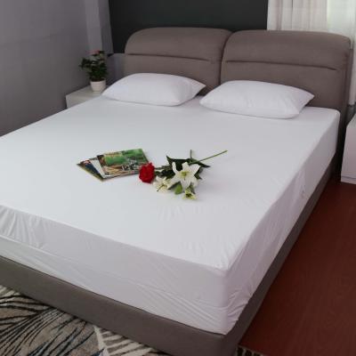 China Waterproof Queen Size Zipper Mattress Encasement Bed Mattress Protector for sale