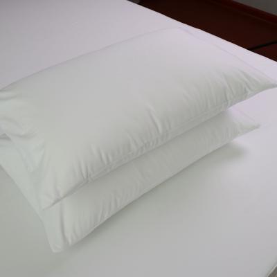 China Waterproof Insect Proof Bed Pillow Protector Cover Case For Hotel Home for sale