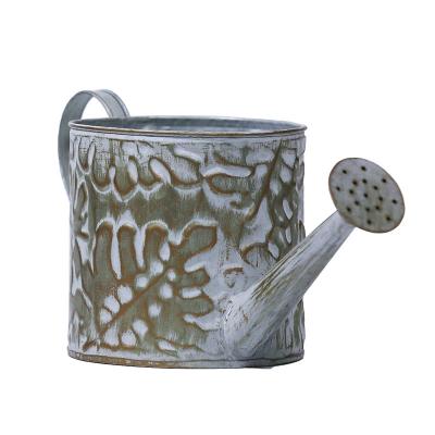 China Hot Sale Eco-Friendly And Home Supplies Vintage Rustic Garden Watering Can for sale