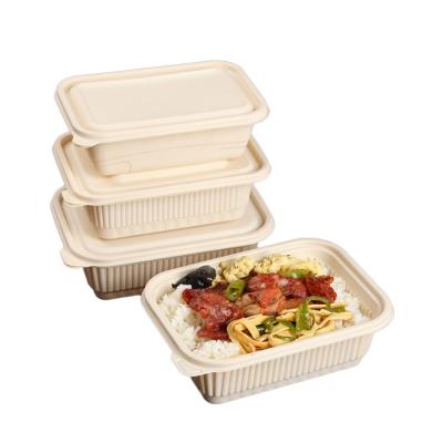 China Biodegradable Microwavable Lunch Catering Box Large Disposable Cornstarch Disposable Tableware Packing Box With Lid for sale