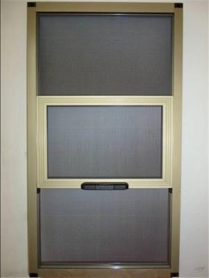 China Features Customisation Aluminum Screen Window for Solution for sale