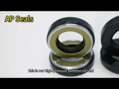 AP oil seal