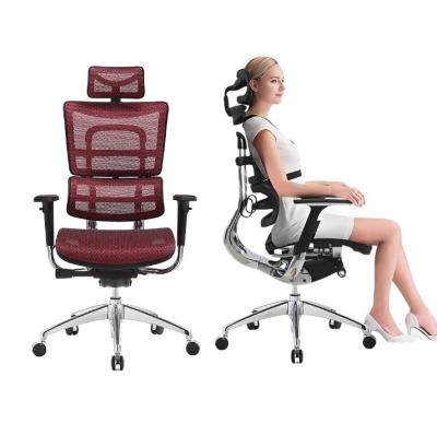 China Mail Packing Modern Office Chair with Solid Wood Legs Armrest and Lumbar Support for sale