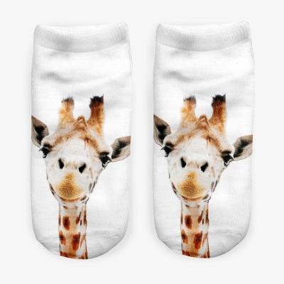 China QUICK DRY summer cotton cartoon white empty dog ​​thongs cute animal giraffe print custom socks wholesale for women for sale