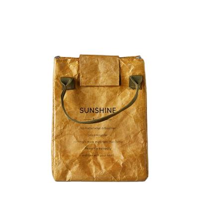 China Fashion Craft Paper Color Cooler Bags SW200588 for sale