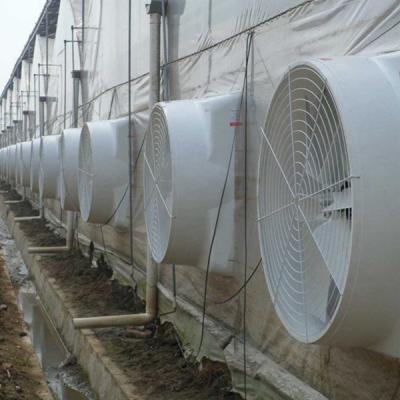 China Hotels Exhausting Shutter Heavy Industrial Exhaust Fan Butterfly FRP Fiberglass Cone Air Ventilation for sale