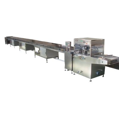 China Snack Plant CE Certificate Food Processing Equipment Chocolate Enrobing Machine for sale