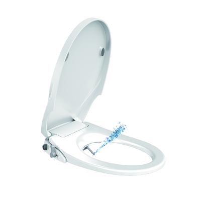 China Modern Mechanical D Shape Wall Mounted Toilet Seat Bidet Hung Non Electric WC Bidet for sale