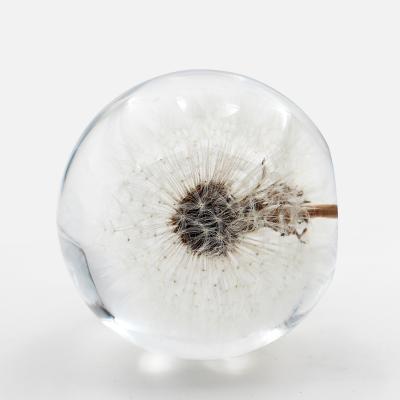 China Real World Dandelion Flower Ball Paperweight Crystal 80mm for sale