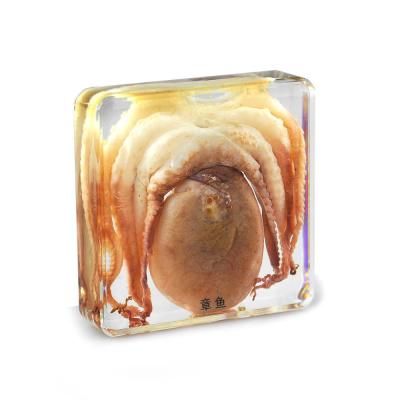 China Real artificial octopus specimen in good quality acrylic paperweight for sale