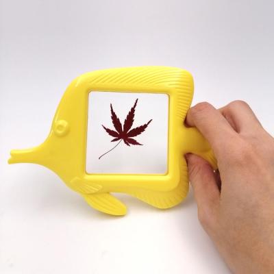 China Learning Hand Holder Specimen Viewer Magnifier Maple Leaf In Resin School Teaching Resources Pre Play Outdoor Toys Fish Shape for sale