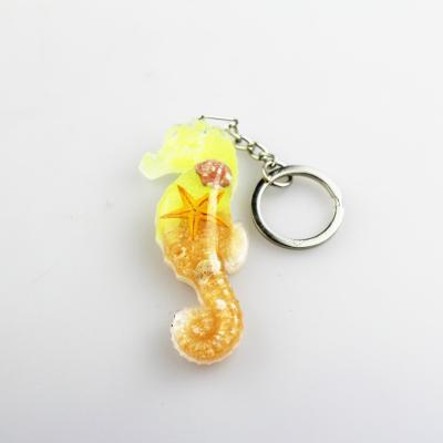 China Marine Custom Key Chain Seahorse Key Chain Design with Real Life Packed Ocean Nice-View Colorful Bottom for sale