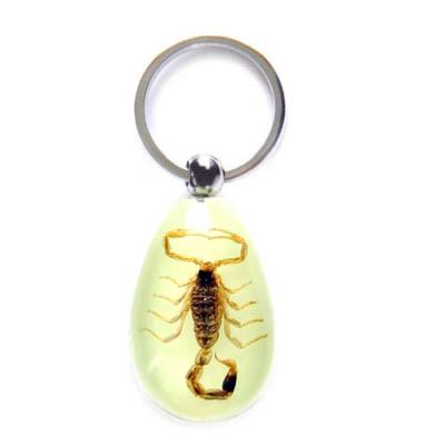 China Artificial Resin Water Drop-Bright Insect Specimen Acrylic Key Chain With Yellow Scorpion for sale