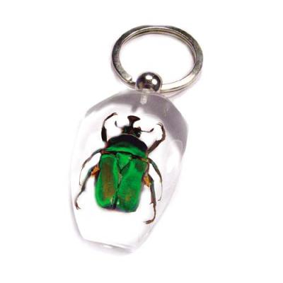 China Gifts& Crafts Green Rose Chafer Insect Keychain For Car Keys for sale