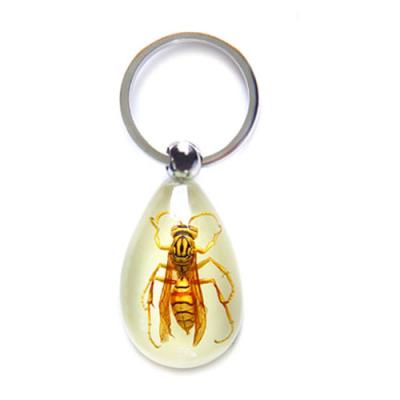 China New Souvenir Design Insect Wasp Glow True in Dark Clear Resin Cool Personalized Keychain Key Chain for sale