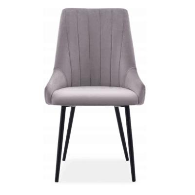 China Wholesale Modern Dining Chair Modern Metal Furniture Nordic Dining Chair Dining Chair for sale