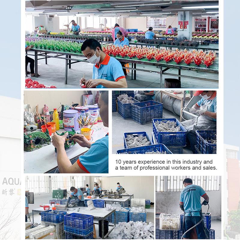 Verified China supplier - Xiamen Xinly Pets Products Co., Ltd.