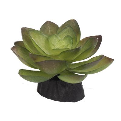 China Viable Wholesale Aquarium Ornament Artificial Plastic Simulation Lotus Reptile Landscape for sale