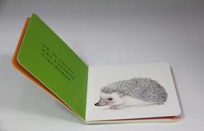 China Colorful Children Book Printing, Custom Board Book Printing With Aqueous Coating / Spot UV for sale