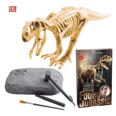 China Archaeological Dinosaur Bone Gypsum with Excavation Kits Toy Amazon 191203705 for sale