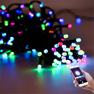 China Smart Wi-Fi RGB Festival Decorative IP44 Waterproof Christmas Lamp LED Tree Lighting Indoor Outdoor Lights String for sale