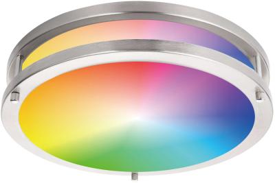 China RGBCW LED Flush Mount Light Single Ring 14 for sale