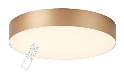 China Modern LED ceiling lamp powered by Tuya Smart(LD-BGSR80-800) for sale