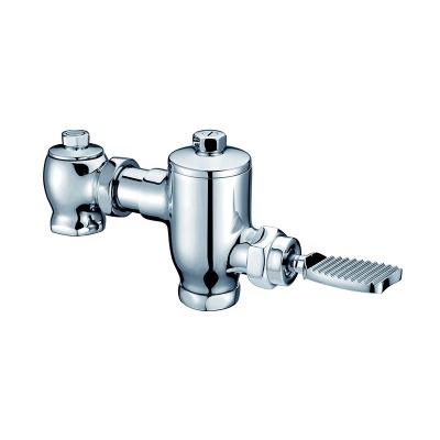 China Dual Flush Valve Modern Special Watermark Design Flush Valve For Toilet WC for sale