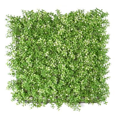 China Contemporary Wholesale Plastic Greenery Follaje Hedge Grass Wall Faux Boxwood Panels Mats For Garden Decoration for sale