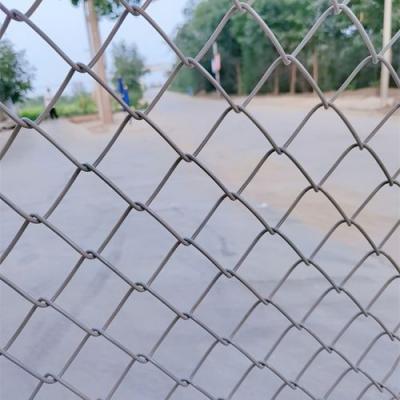 China Fence Mesh PVC Coated Black Diamond Wire Mesh Chain Link Fence Compact Roll for sale