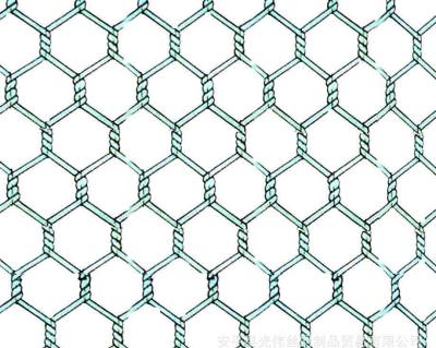 China Straight twist custom price list for anping hexagonal chicken mesh for sale