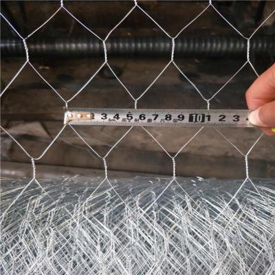 China Straight Twist Electro Galvanized Hexagonal Wire Mesh / Hot Dip Galvanized Hexagonal Wire Mesh for sale