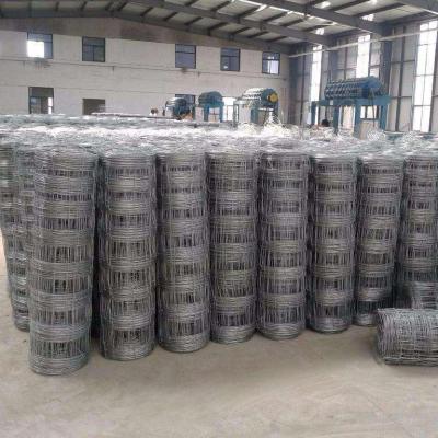 China Sustainable Agricultural Wire Mesh Fence / Cheap Fencing Hot Dipped Galvanized Livestock Fence For Sale for sale