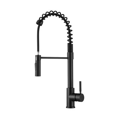 China Thermostatic Modern Faucets Spring Black Brass Kitchen Faucet With Spray Kitchen Faucet for sale