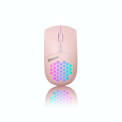 China Portable Ergonomic Wireless Mouse 2.4G Wireless RGB Backlit Honeycomb Hole Rechargeable Mouse for sale