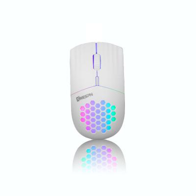 China Ergonomic Wireless Honeycomb Hole RGB Backlit 2.4G Mouse Portable Rechargeable Wireless Mouse for sale