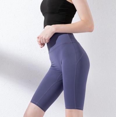 China Basic Breathable Wholesale Solid Color Plus Size High Waist Yoga Women Sport Gym Shorts for sale