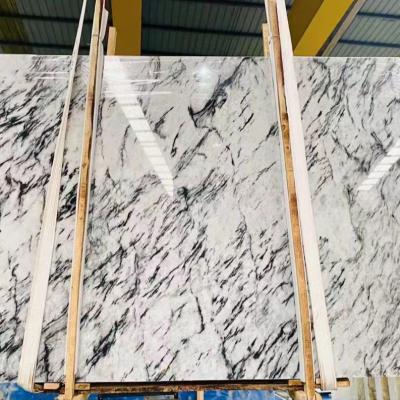 China Natural Texture Light Luxury White Black Marble For Back Wall Grounds , Countertops , Floors for sale