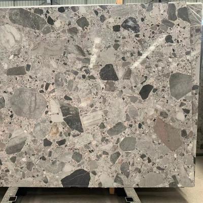 China Factory Modern Hot Sale Decoration Marble Tiles Fossil Gray Marble Price for sale