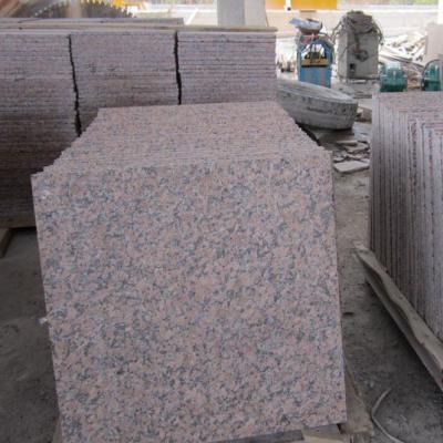 China Suitable For All Finishes Red Granite Tiles G562 Flamed Maple Red Granite Factory Exterior for sale