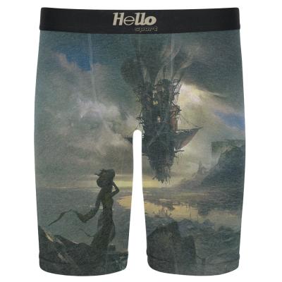 China Hellosports Breathable Wholesale Custom Printing Long Leg Underwear Boxer Shorts Logo Boxer Brief Bulk Sublimation for sale