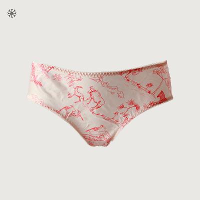 China Low MOQ OEM Breathable Ladies Comfort Underwear Women Seamless Silk Panties for sale