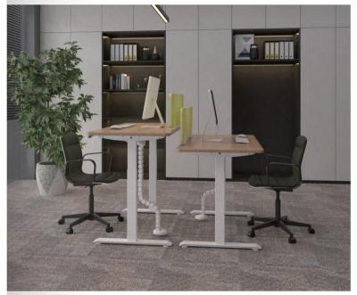 China Modern Simple Motor Height Adjustable Desk for sale