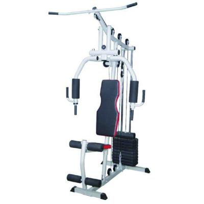 China Steel Tube Fitness Home Gym One Station Integrated Gym Trainer Bodybuilding Equipment HRGYM16B for sale