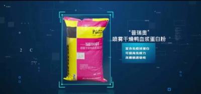 Chine Poudre séchée au vaporisateur solide jaunâtre de protéine de plasma de matière première de poudre de protéine à vendre