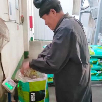 Chine pulvérin sain de sang d'additifs d'aliments pour chiens d'alimentation de volaille 30kg à vendre